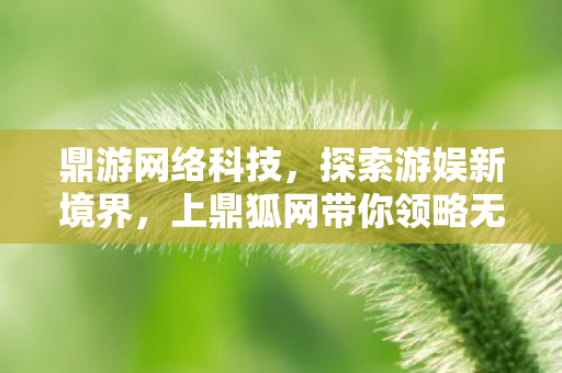 上鼎狐网带你领略无限可能图片