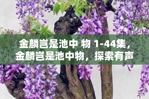 探索有声书的魅力与未来图片