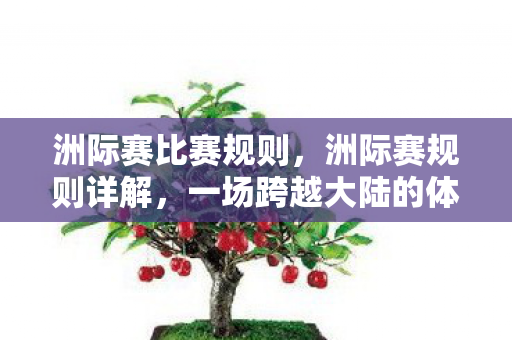 一场跨越大陆的体育盛宴图片