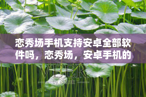 恋秀场手机支持安卓全部软件吗图片