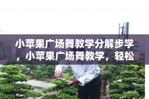 小苹果广场舞教学分解步学图片