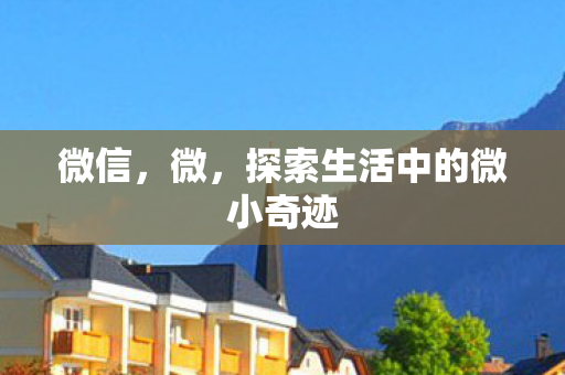 探索生活中的微小奇迹图片