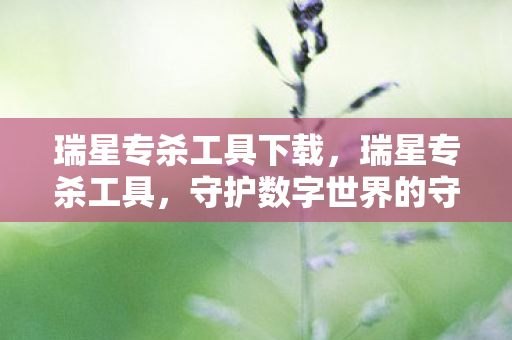 瑞星专杀工具下载，瑞星专杀工具，守护数字世界的守护者