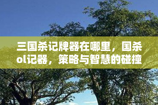 三国杀记牌器在哪里图片