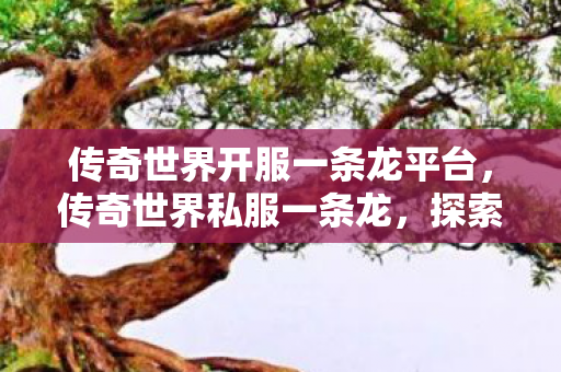 传奇世界开服一条龙平台图片