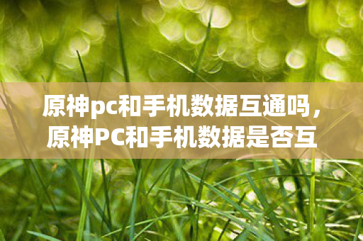 原神PC和手机数据是否互通图片