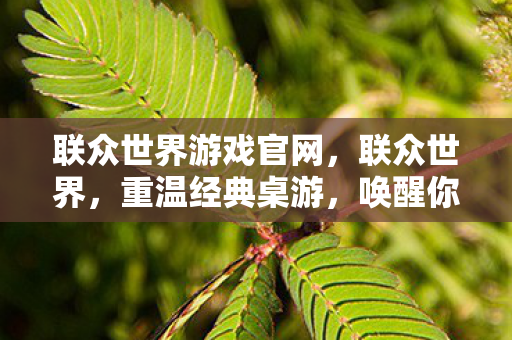 联众世界游戏官网图片