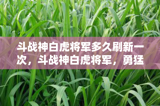 斗战神白虎将军多久刷新一次图片
