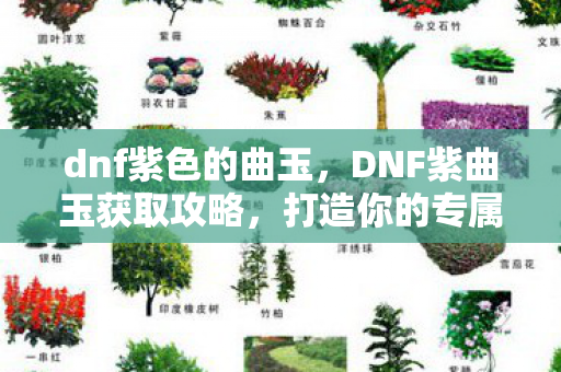 DNF紫曲玉获取攻略图片