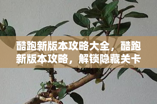 酷跑新版本攻略大全图片