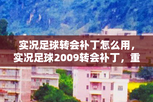 实况足球2009转会补丁图片