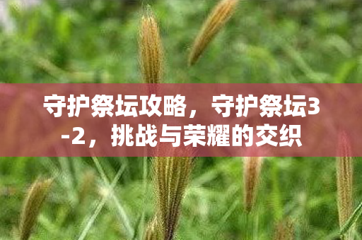 挑战与荣耀的交织图片