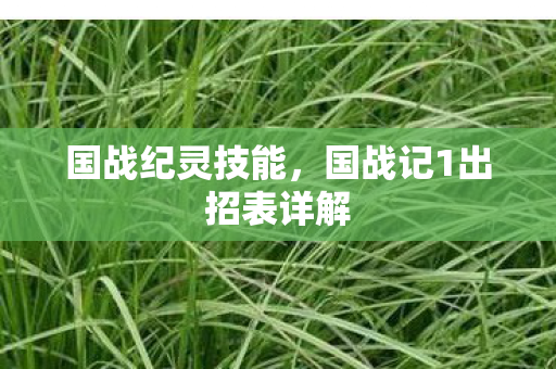 国战记1出招表详解图片