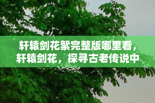 探寻古老传说中的神秘之花图片