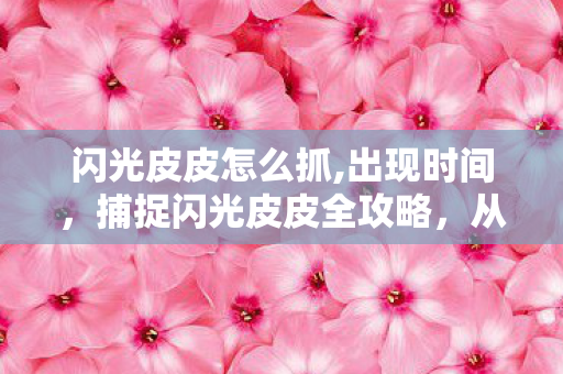 捕捉闪光皮皮全攻略图片