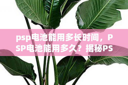 揭秘PSP电池寿命与保养技巧图片