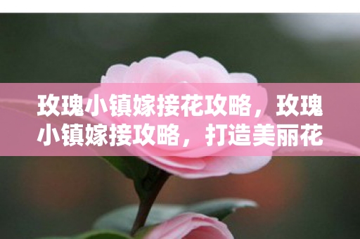 玫瑰小镇嫁接花攻略图片