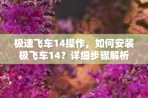 如何安装极飞车14图片