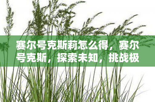 赛尔号克斯莉怎么得图片