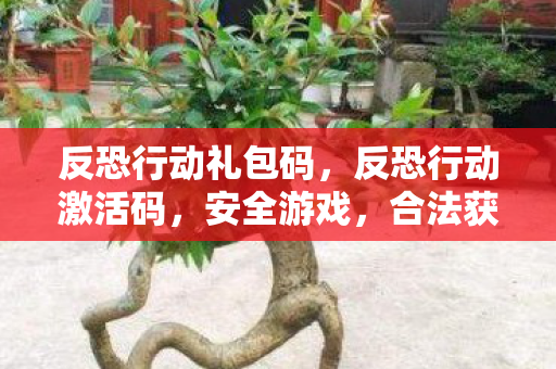 反恐行动礼包码图片