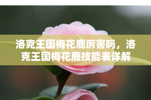 洛克王国梅花鹿技能表详解图片