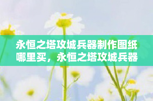 永恒之塔攻城兵器制作图纸哪里买，永恒之塔攻城兵器制作，深度解析与策略探讨