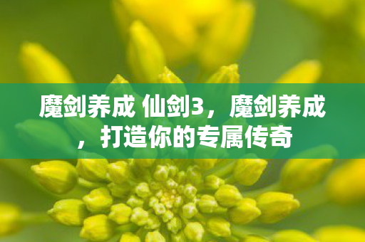 魔剑养成 仙剑3图片