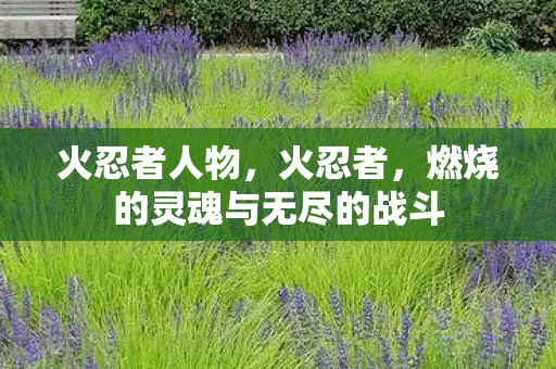 燃烧的灵魂与无尽的战斗图片