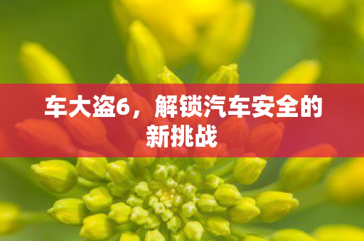 解锁汽车安全的新挑战图片