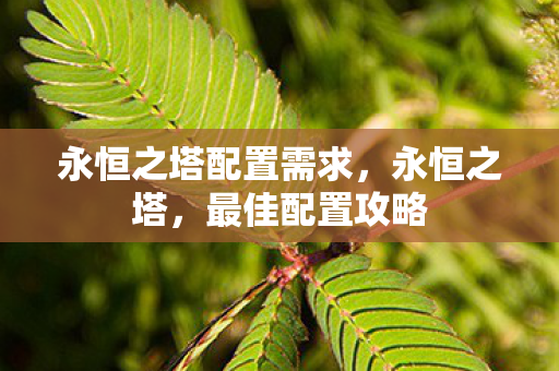 永恒之塔配置需求，永恒之塔，最佳配置攻略