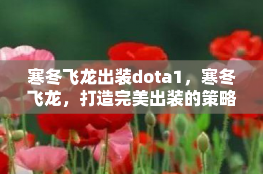 寒冬飞龙出装dota1图片