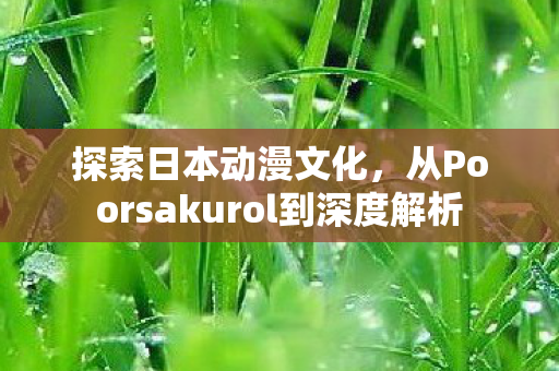 从Poorsakurol到深度解析图片