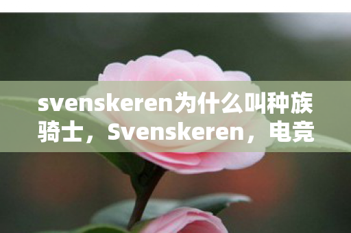 svenskeren为什么叫种族骑士图片