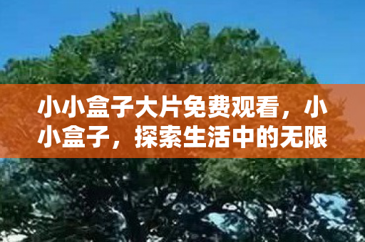 小小盒子大片免费观看图片