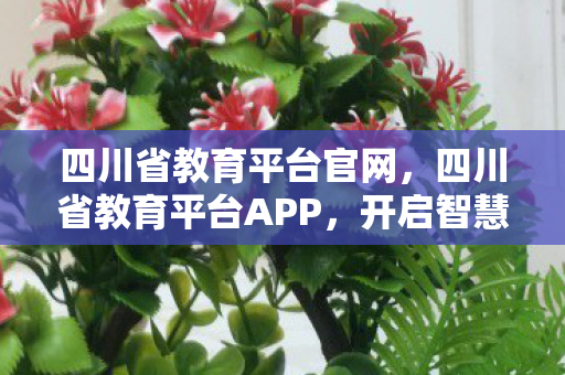 四川省教育平台APP图片