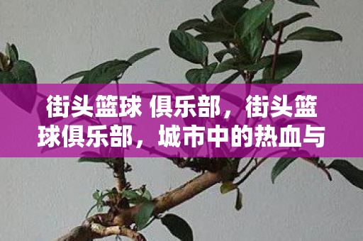 城市中的热血与梦想图片