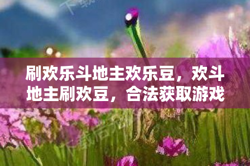 刷欢乐斗地主欢乐豆图片