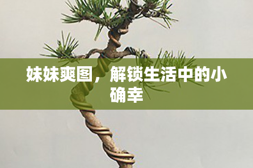 解锁生活中的小确幸图片