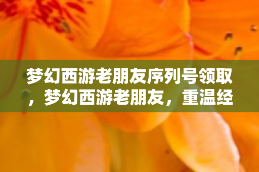 梦幻西游老朋友序列号领取，梦幻西游老朋友，重温经典，再续前缘