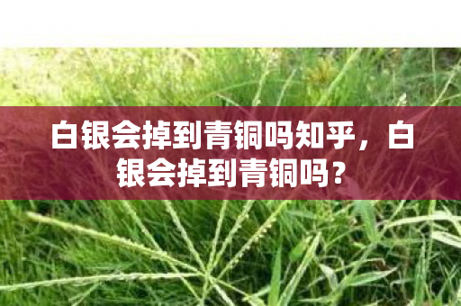 白银会掉到青铜吗知乎图片