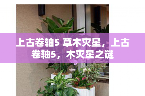 上古卷轴5 草木灾星图片