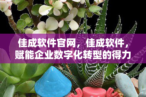 赋能企业数字化转型的得力助手图片