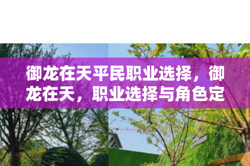 御龙在天平民职业选择图片