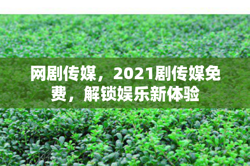 2021剧传媒免费图片