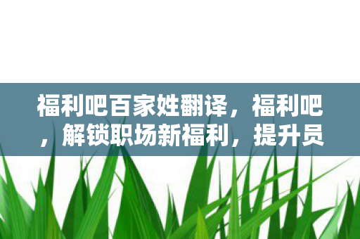 福利吧百家姓翻译，福利吧，解锁职场新福利，提升员工幸福感