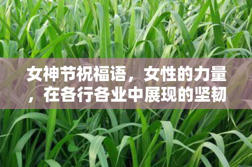 在各行各业中展现的坚韧与智慧图片