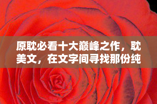 在文字间寻找那份纯粹的爱图片