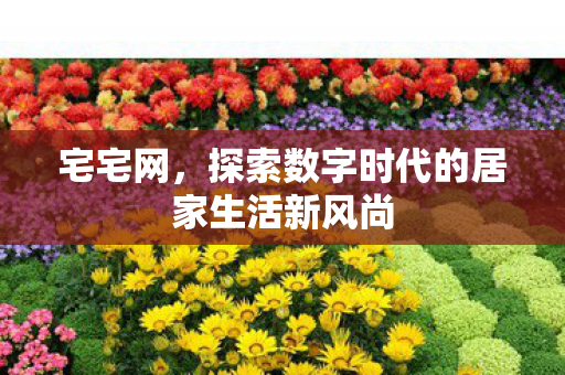 宅宅网，探索数字时代的居家生活新风尚