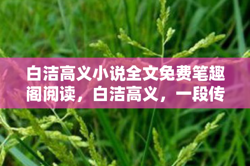 白洁高义小说全文免费笔趣阁阅读，白洁高义，一段传奇的友谊