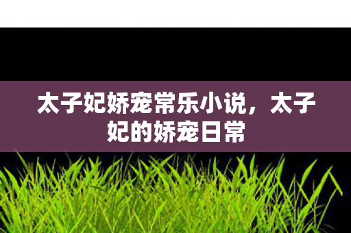 太子妃娇宠常乐小说图片